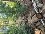 eikenboom in stukken gezaagd, Tuin en Terras, Haardhout, Minder dan 3 m³, Ophalen, Blokken