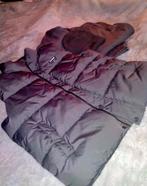 Jongens kleding set: bodywarmer, muts, joggingpak, Ophalen of Verzenden, Zo goed als nieuw, Maat 48/50 (M)