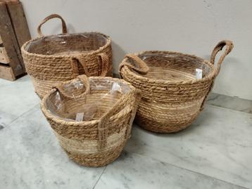 Mandenset van 3 - in mint of ecru beschikbaar voor biedingen