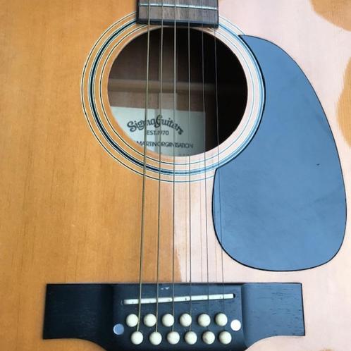 12-snarige akoestische gitaar, Muziek en Instrumenten, Snaarinstrumenten | Gitaren | Akoestisch, Zo goed als nieuw, Overige typen