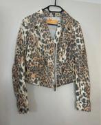 Dames spijkerjasje merk Biba maat S, Ophalen of Verzenden, Gedragen, Maat 36 (S), Oranje