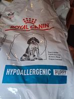 Royal canin hypoallergeen pup, Dieren en Toebehoren, Ophalen, Hond