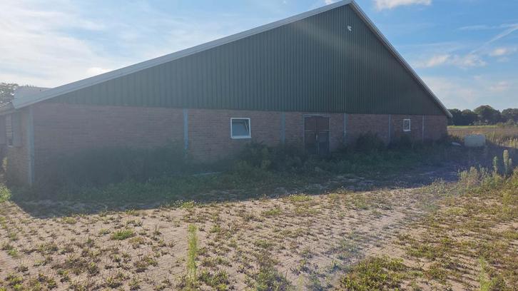 Varkensschuur met inrichting aangeboden, Zakelijke goederen, Agrarisch | Agrarisch Onroerend goed, Varkenshouderij, Ophalen of Verzenden