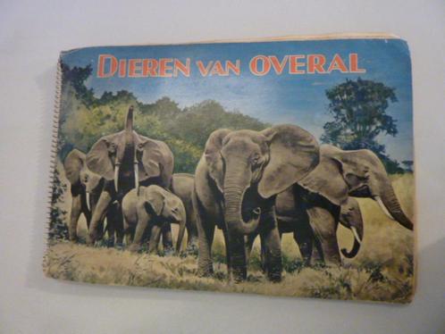 Dieren van overal deel 1 - Zoogdieren, Boeken, Prentenboeken en Plaatjesalbums, Gelezen, Verzenden