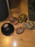 Reptielen accessoires/huisjes/decoratie, Dieren en Toebehoren, Ophalen, Gebruikt