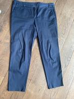 Damespantalon , Gerard Darel, maat 44, Gerard Darel, Blauw, Ophalen of Verzenden, Lang