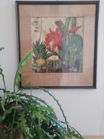Aquarel cactussen cactus Mary Wills, Ophalen of Verzenden