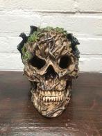 SCHEDEL/ SKULL, Ophalen of Verzenden