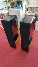 Hepta Contender, Audio, Tv en Foto, Luidsprekers, Ophalen, Zo goed als nieuw, Front, Rear of Stereo speakers, Overige merken