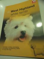 Westhighland White terrier, Ophalen of Verzenden, Zo goed als nieuw, Honden