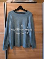 Leuke trui xl, Kleding | Dames, Truien en Vesten, Ophalen of Verzenden, Gedragen, Maat 46/48 (XL) of groter