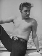 ELVIS PRESLEY FOTO'S, Foto, Nieuw, Ophalen of Verzenden, 1940 tot 1960