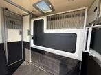 RENAULT MASTER 2.3L | STX | 2016  | HENGST | PAARDENWAGEN, Dieren en Toebehoren, Paarden en Pony's | Trailers en Aanhangwagens