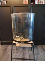 Aquarium half rond, Dieren en Toebehoren, Ophalen, Zo goed als nieuw, Leeg aquarium