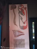 Oude school plaat, Ophalen of Verzenden