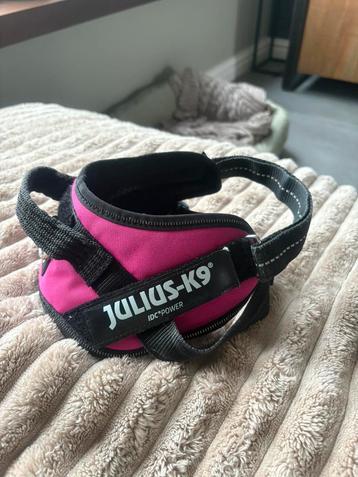 Honden tuigje beschikbaar voor biedingen