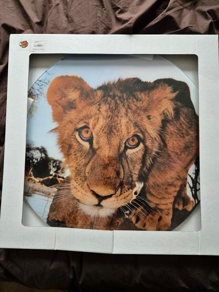 Ronde glasschilderij 50cm leeuw, Huis en Inrichting, Woonaccessoires | Schilderijen, Tekeningen en Foto's, Nieuw, Schilderij, Minder dan 50 cm