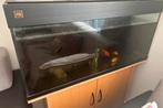 BIEDEN! Aquarium voor vissen of reptielen, Ophalen of Verzenden, Zo goed als nieuw, Leeg aquarium