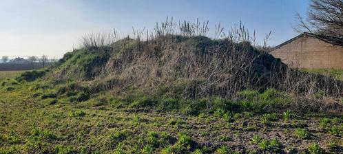 teel aarde/zwarte zand, Tuin en Terras, Aarde en Mest, Tuinaarde, Ophalen