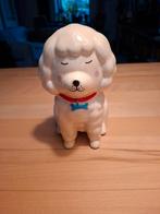 Leuke poedel spaarpot van Sass & Belle., Ophalen of Verzenden, Zo goed als nieuw, Steen, Aardewerk of Keramiek, Overige thema's