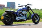 Harley Davidson, Motoren, Motoren | Harley-Davidson, 2 cilinders, Chopper, Particulier, Meer dan 35 kW