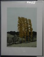 Prachtige zeefdruk Sees Vlag van het Geuldal 1987 AHcollecti, Antiek en Kunst, Ophalen of Verzenden