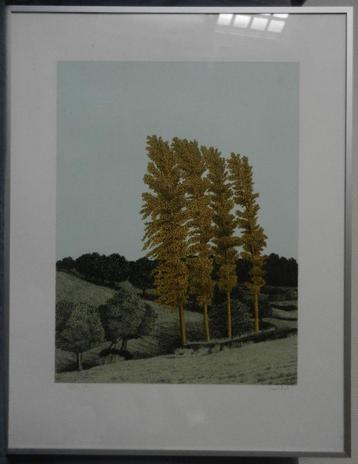 Prachtige zeefdruk Sees Vlag van het Geuldal 1987 AHcollecti beschikbaar voor biedingen