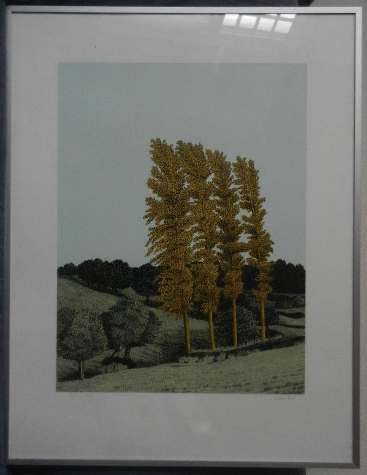 Prachtige zeefdruk Sees Vlag van het Geuldal 1987 AHcollecti, Antiek en Kunst, Kunst | Litho's en Zeefdrukken, Ophalen of Verzenden