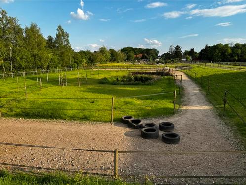 Paddock Paradise, Dieren en Toebehoren, Stalling en Weidegang, Stalling
