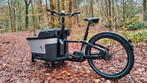 Carqon Cruise Bakfiets | ZGAN | 2x 400 Accu | €2500 korting, Fietsen en Brommers, Fietsen | Bakfietsen, Overige merken, Nieuw