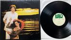 DBR1 Duncan Brown The Wild Places HOL78 €7,50, Cd's en Dvd's, Ophalen of Verzenden, Gebruikt, 12 inch, Poprock