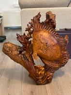 Vissen beelden van taekhout, Ophalen