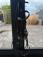 Bitloos hoofdstel, Dieren en Toebehoren, Ophalen of Verzenden, Zo goed als nieuw, Dressuur