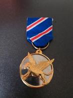 Flying Tigers medal. (Taiwan), Ophalen of Verzenden, Luchtmacht, Amerika, Lintje, Medaille of Wings