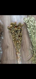 Droogbloemen mix - Gratis af te halen, Ophalen of Verzenden, Nieuw