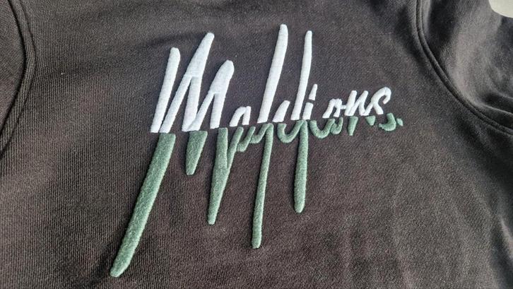 Trui merk Malelions maat 152, Kinderen en Baby's, Kinderkleding | Maat 152, Zo goed als nieuw, Jongen of Meisje, Trui of Vest