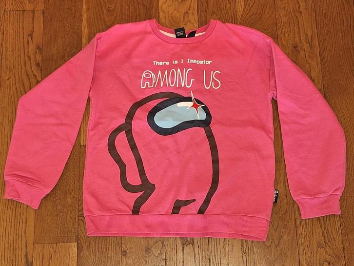 Trui maat 152, Kinderen en Baby's, Kinderkleding | Maat 152, Gebruikt, Meisje, Trui of Vest, Ophalen of Verzenden