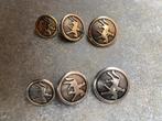Nieuwe Pikeur knopen / Zilver & Goud kleurig, Ophalen, Overige typen, Dames, Nieuw