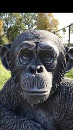 ‼️Chimpansee 55kg 52cm Chita Bonobo Aap Apen Gorilla Monkey, Tuin en Terras, Tuinbeelden, Ophalen of Verzenden, Nieuw, Beton, Dierenbeeld