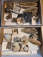 Partij fosssielen, Ophalen of Verzenden