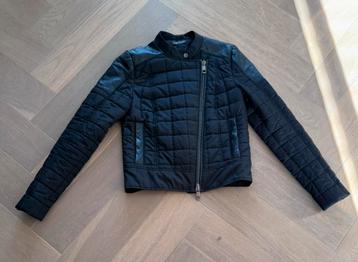 Tommy Hilfiger beschikbaar voor biedingen