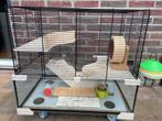 Glazen kooi, Dieren en Toebehoren, Kooi, Minder dan 75 cm, Zo goed als nieuw, Hamster