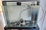 Aquarium 60 liter, Ophalen, Zo goed als nieuw, Leeg aquarium