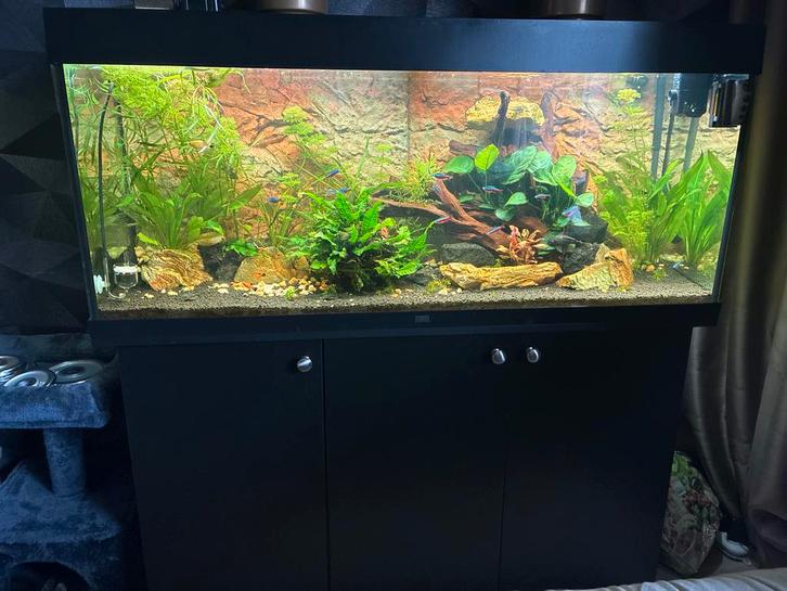 Compleet juwel rio 240, Dieren en Toebehoren, Vissen | Aquaria en Toebehoren, Zo goed als nieuw, Leeg aquarium, Ophalen of Verzenden