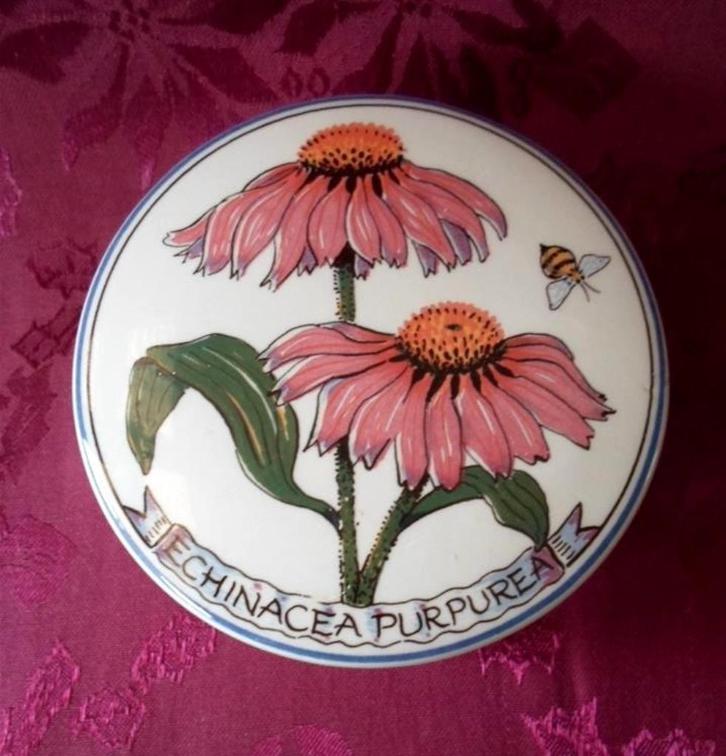 Porseleinen dekseldoosje. Echinacea Purpurea. Schoonhoven, Antiek en Kunst, Antiek | Porselein, Ophalen of Verzenden