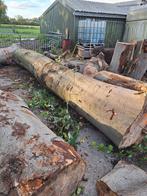 boomstammen beuk en eiken, Doe-het-zelf en Verbouw, Hout en Planken, Ophalen, Overige typen, Overige houtsoorten, 50 mm of meer