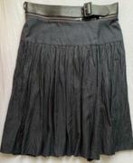 Stroke rok maat 40, Kleding | Dames, Rokken, Maat 38/40 (M), Blauw, Ophalen of Verzenden, Zo goed als nieuw