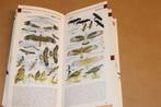 Nieuwe Zakgids Vogels — Hayman — Rijk Geïllustreerd, Ophalen of Verzenden, Gelezen, Vogels