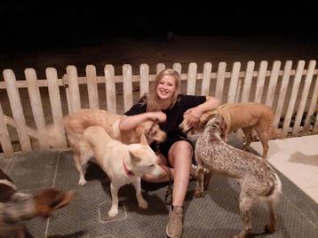 Honden uitlaatservice Ede /Lunteren en omgeving beschikbaar voor biedingen