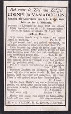 Abeelen Cornelia 1852 Liempde 1909, Ophalen of Verzenden, Bidprentje